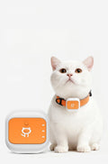 Smart GPS Cat and Dog Collar Tracker Anti-Lost Device
