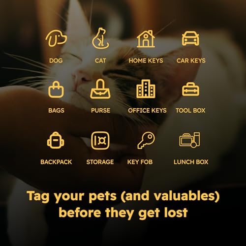 SeQR Privacy Smart Dog Tags with Custom QR Codes