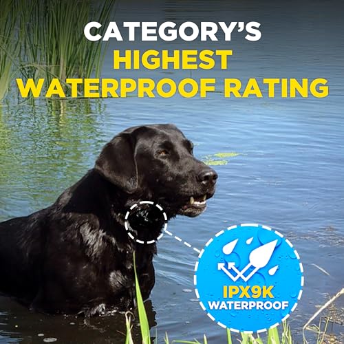 Dogtra Smart NoBark Waterproof App Bark Collar