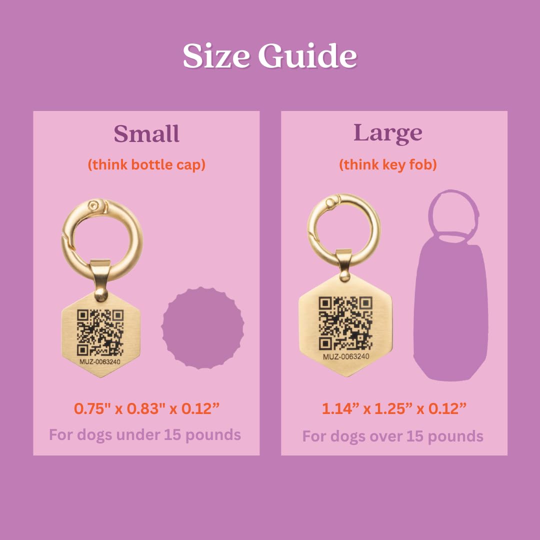 Gold QR Code Pet ID Tag with Free Digital Profile