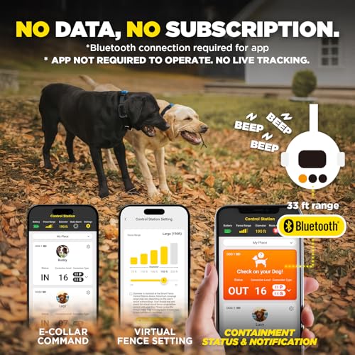 Dogtra Smart Wireless Dog Fence and Training Flags Bundle