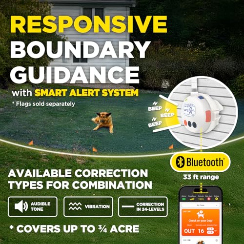 Dogtra Smart Wireless Dog Fence and Training Flags Bundle