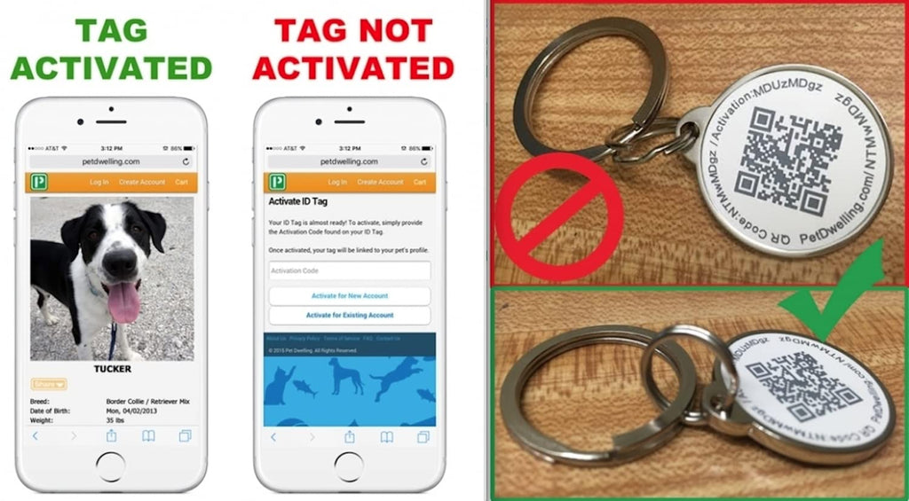 Pet Dwelling QR Code Pet ID Tags with Online Profile