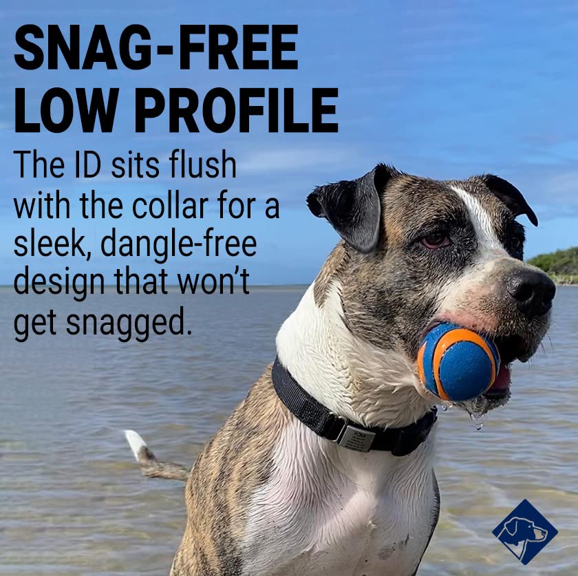 ROAD iD Jingle-Free Slide-On Stainless Steel Dog Tag