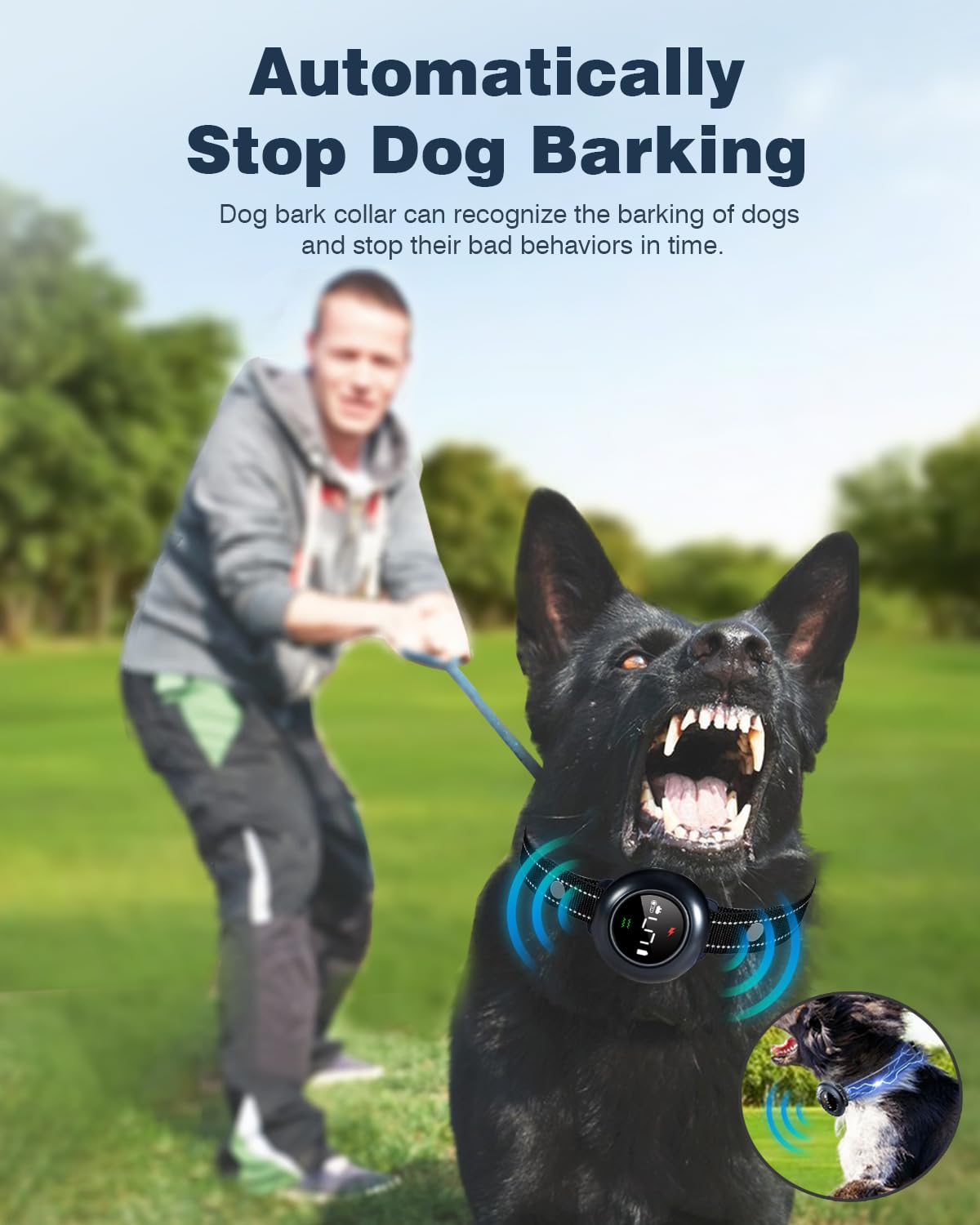 2-in-1 Waterproof Dog Bark and Remote Training Collar