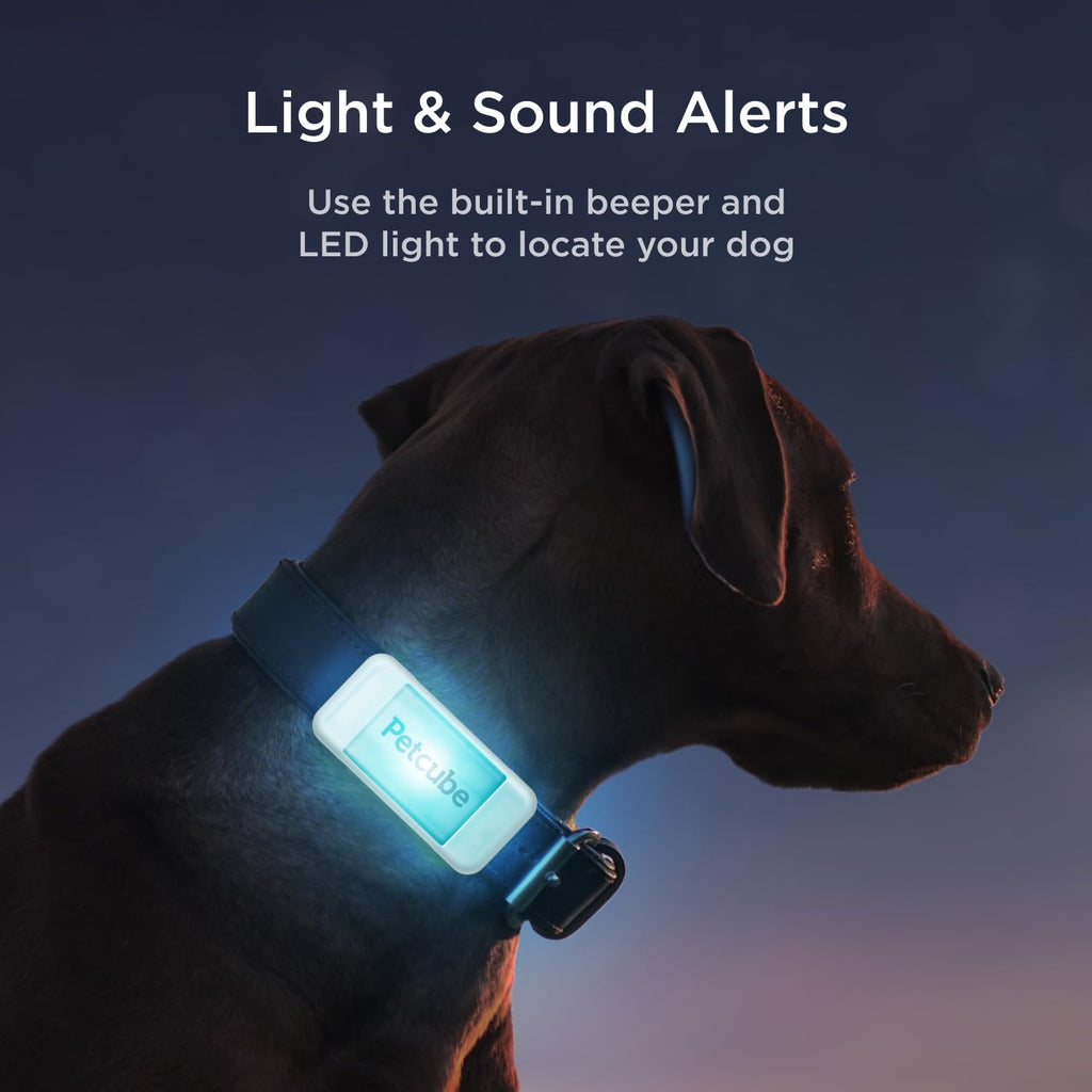 Petcube GPS Dog Tracker with Escape Alerts and Virtual Fence