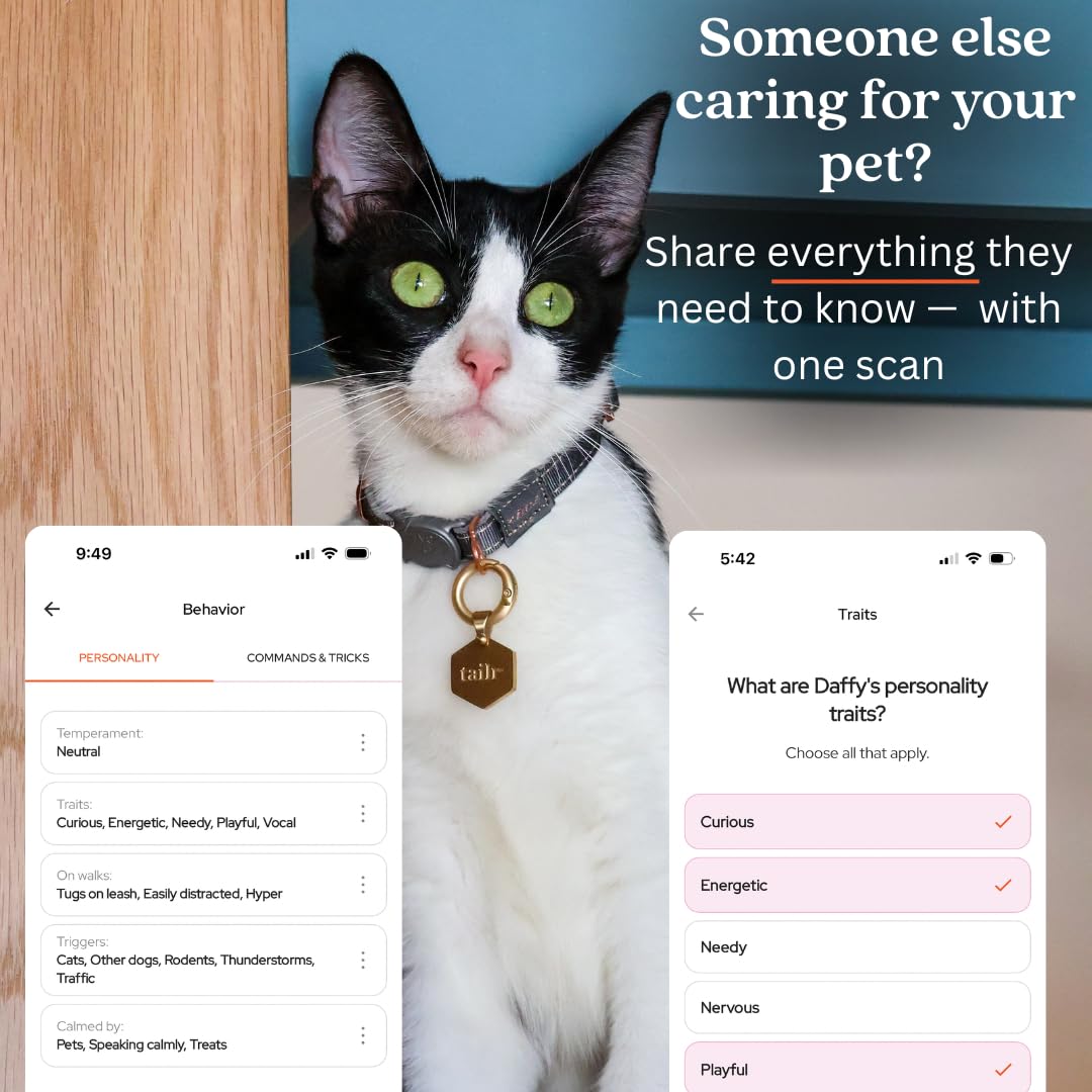 Gold QR Code Pet ID Tag with Free Digital Profile