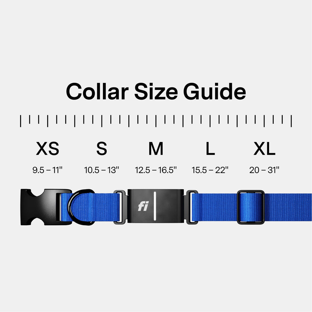 Fi Series 3+ Smart Dog GPS Tracker Collar with Health Monitoring