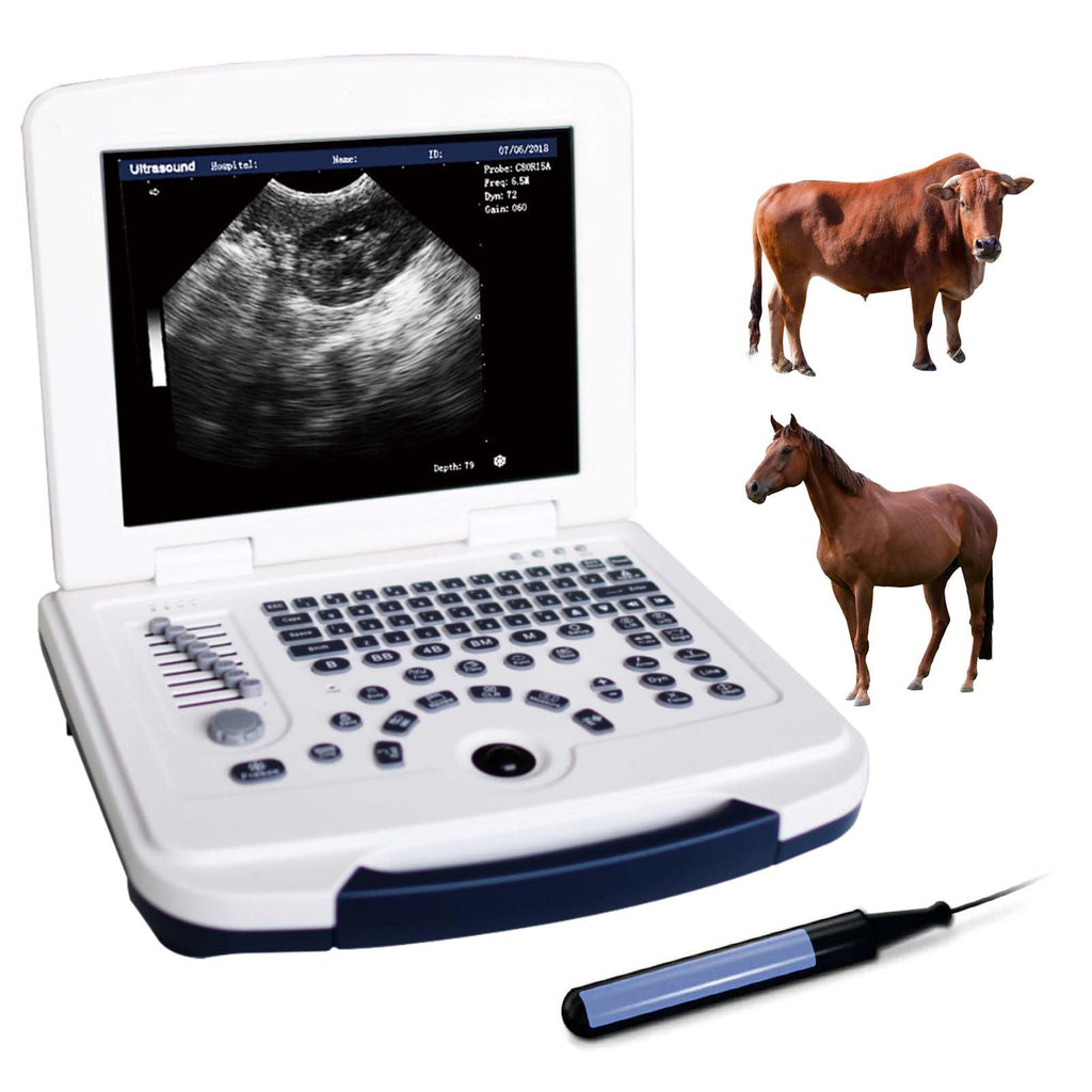 DAWEI Portable Veterinary Ultrasound Scanner for Animals