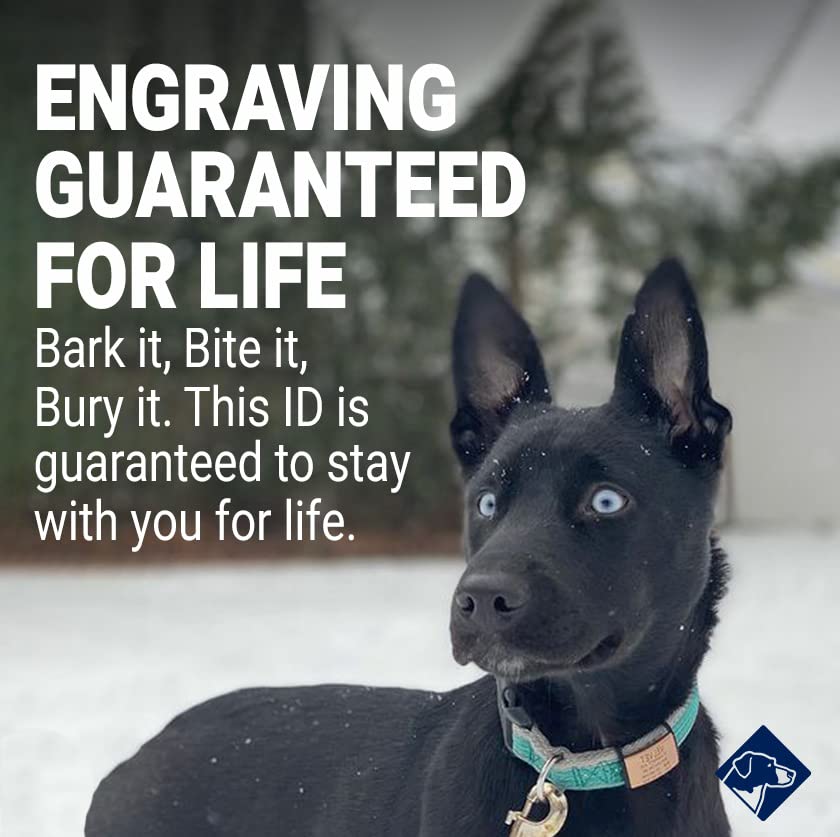 ROAD iD Jingle-Free Slide-On Stainless Steel Dog Tag