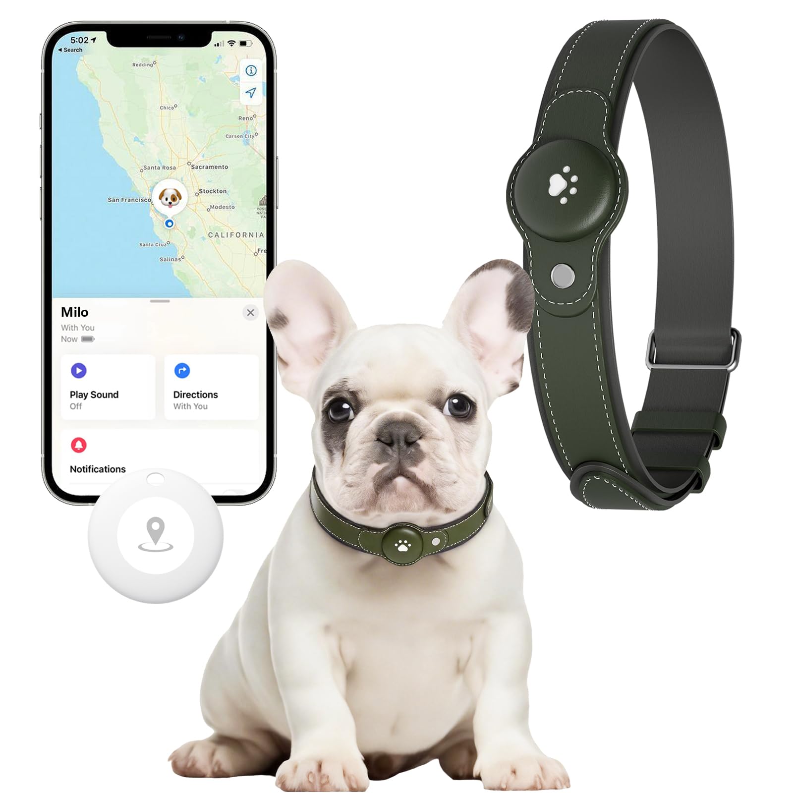 No-Fee 2-in-1 iOS Dog GPS Tracker Collar 365-Day Battery
