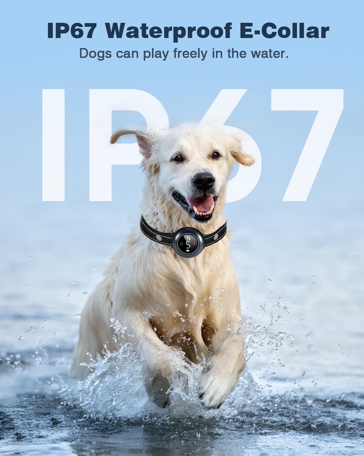 2-in-1 Waterproof Dog Bark and Remote Training Collar
