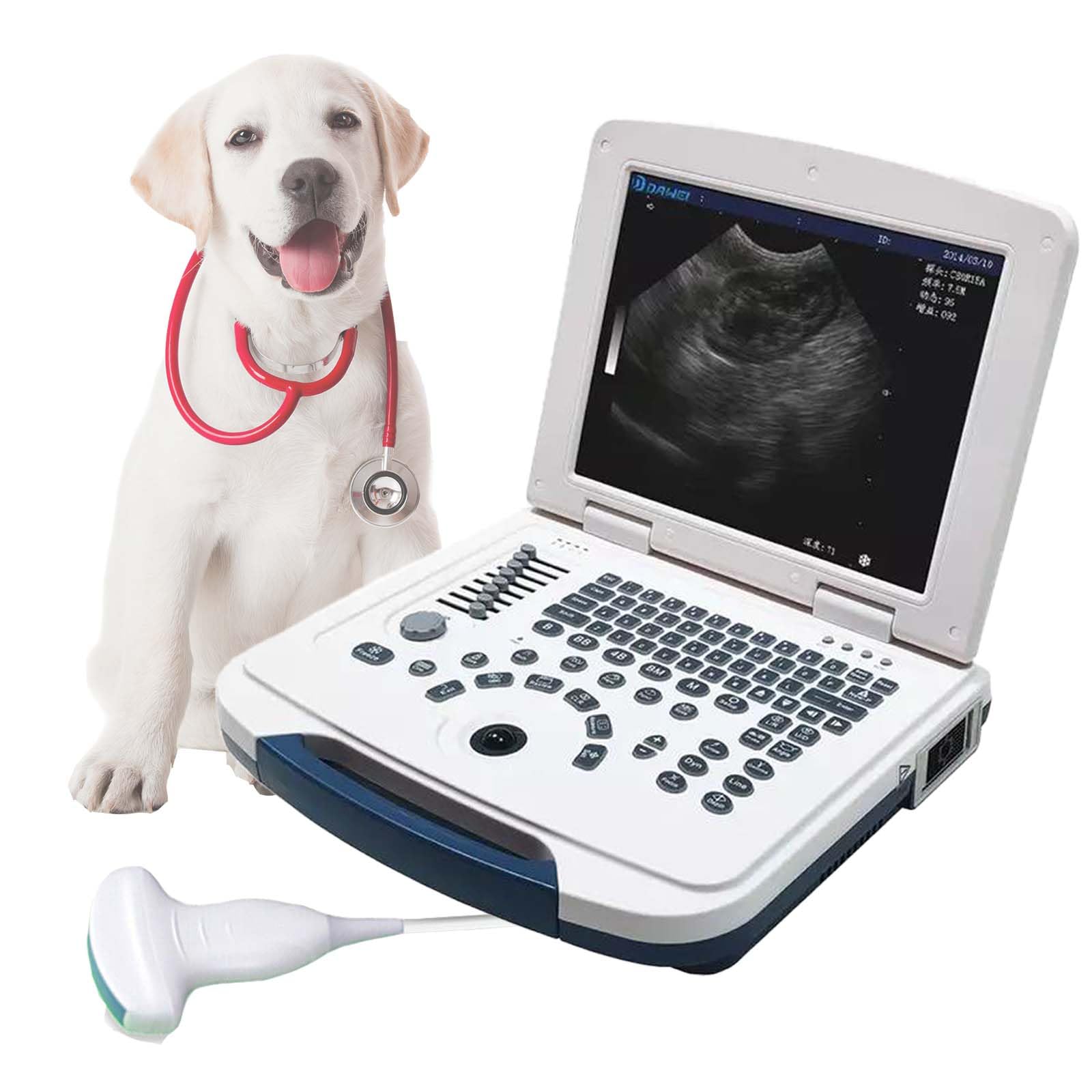 DAWEI Portable Veterinary Ultrasound Scanner for Animals