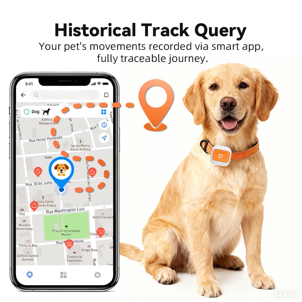 Smart GPS Cat and Dog Collar Tracker Anti-Lost Device