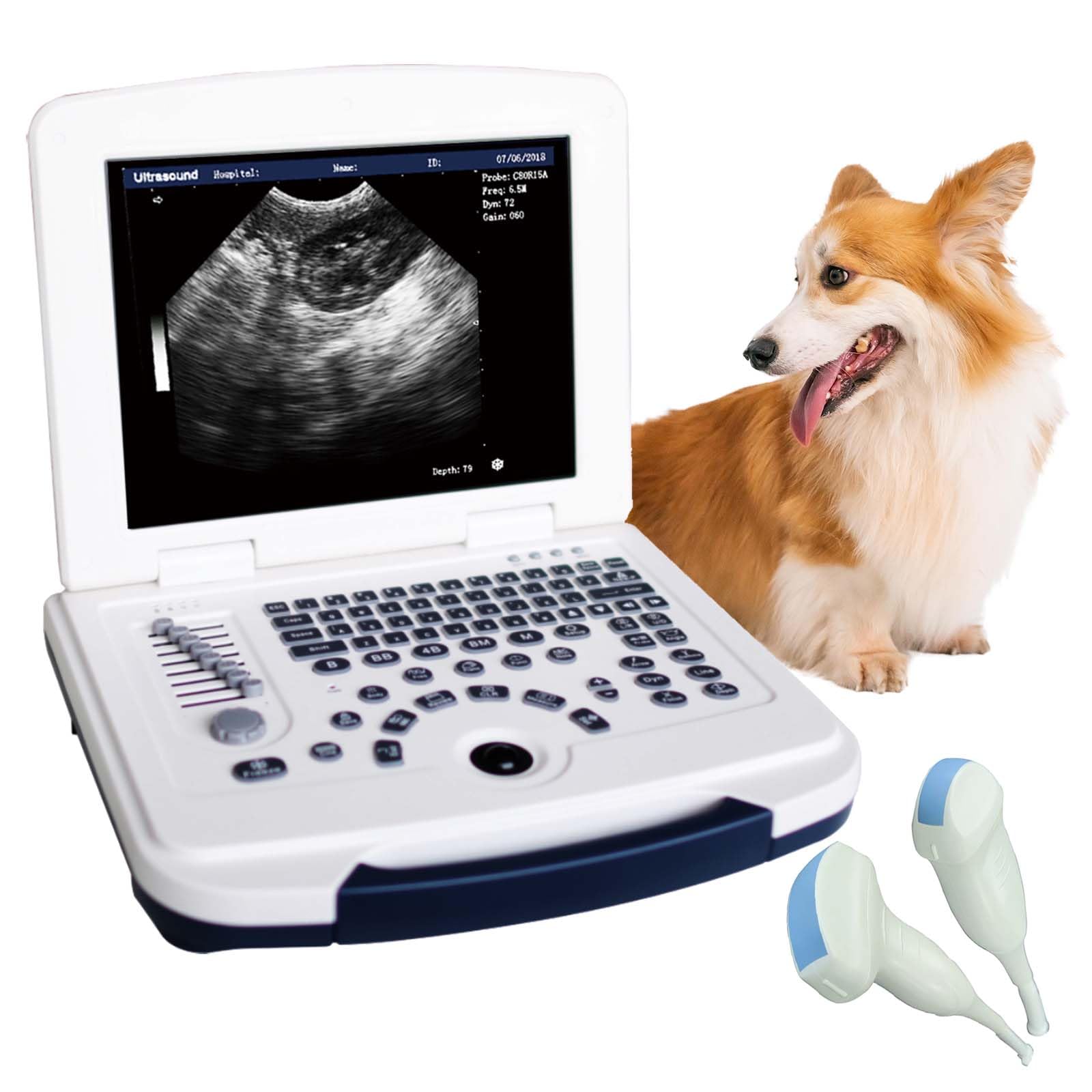 DAWEI Portable Veterinary Ultrasound Scanner for Animals