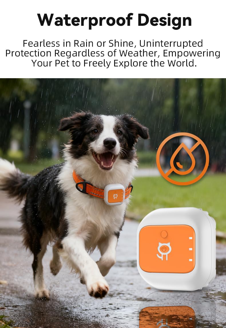 Smart GPS Cat and Dog Collar Tracker Anti-Lost Device