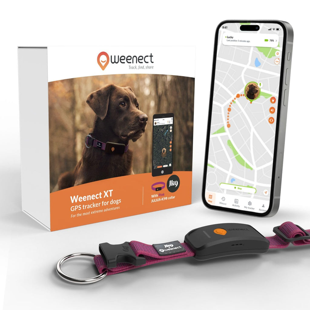 Weenect Dog XT Waterproof GPS Collar with XL Antenna