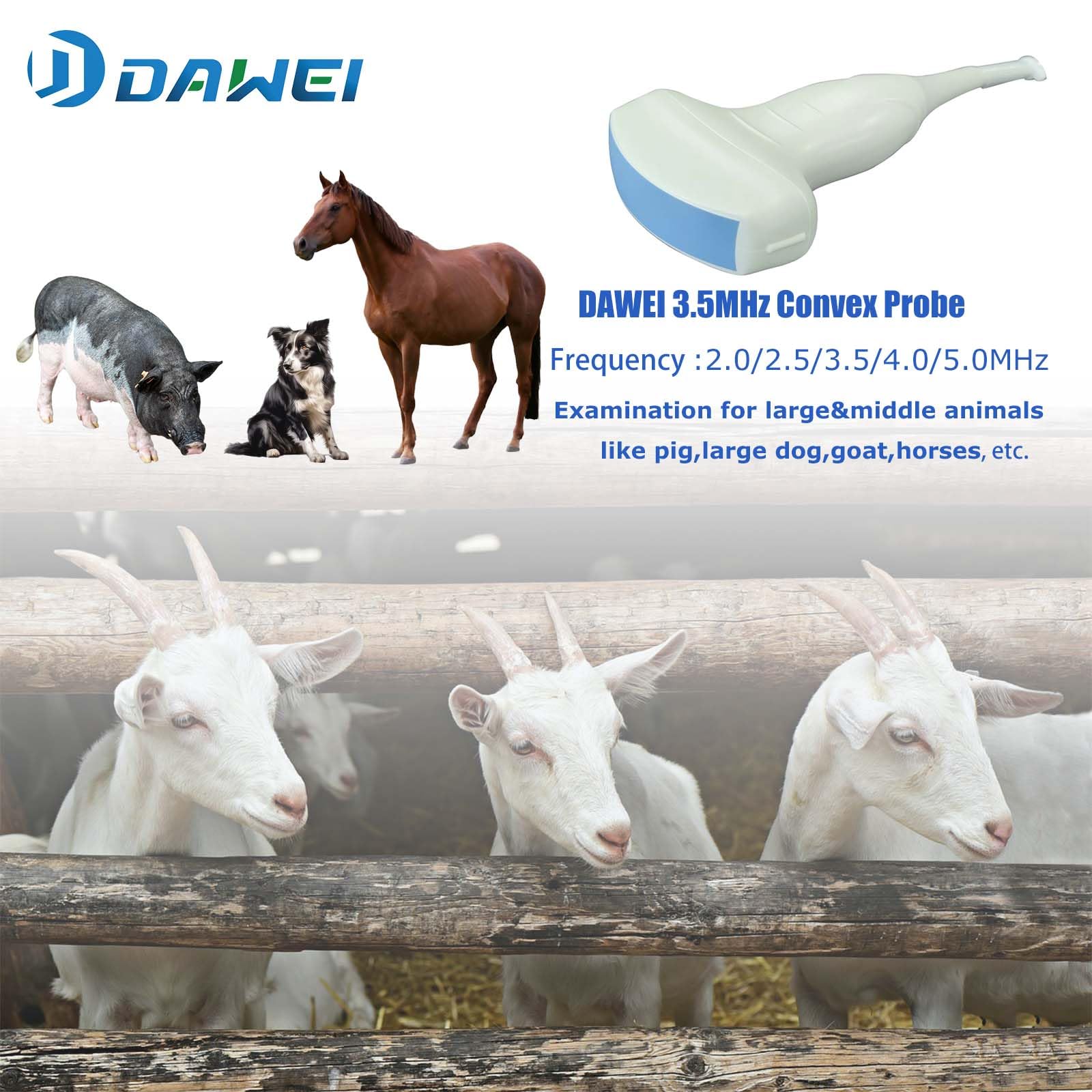DAWEI Portable Veterinary Ultrasound Scanner for Animals