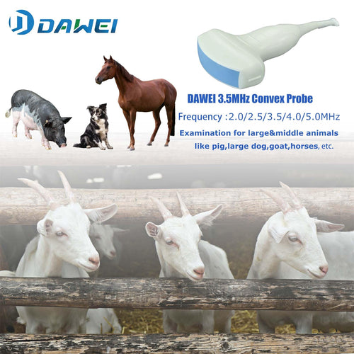 DAWEI Portable Veterinary Ultrasound Scanner for Animals