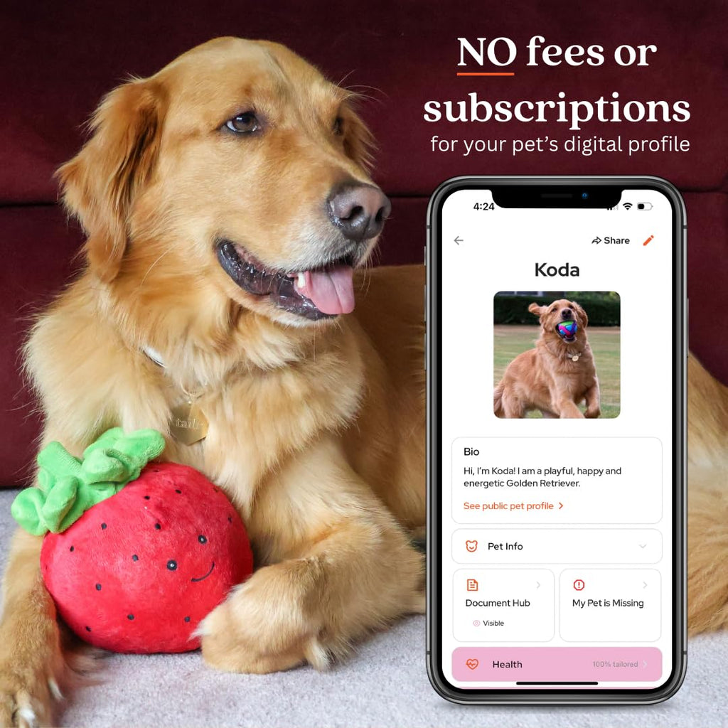 Gold QR Code Pet ID Tag with Free Digital Profile