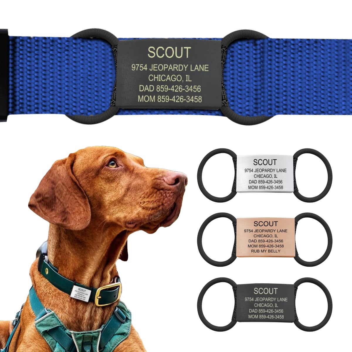 ROAD iD Jingle-Free Slide-On Stainless Steel Dog Tag