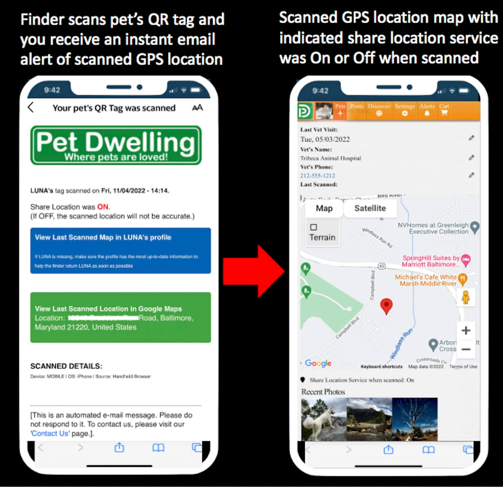 Pet Dwelling QR Code Pet ID Tags with Online Profile