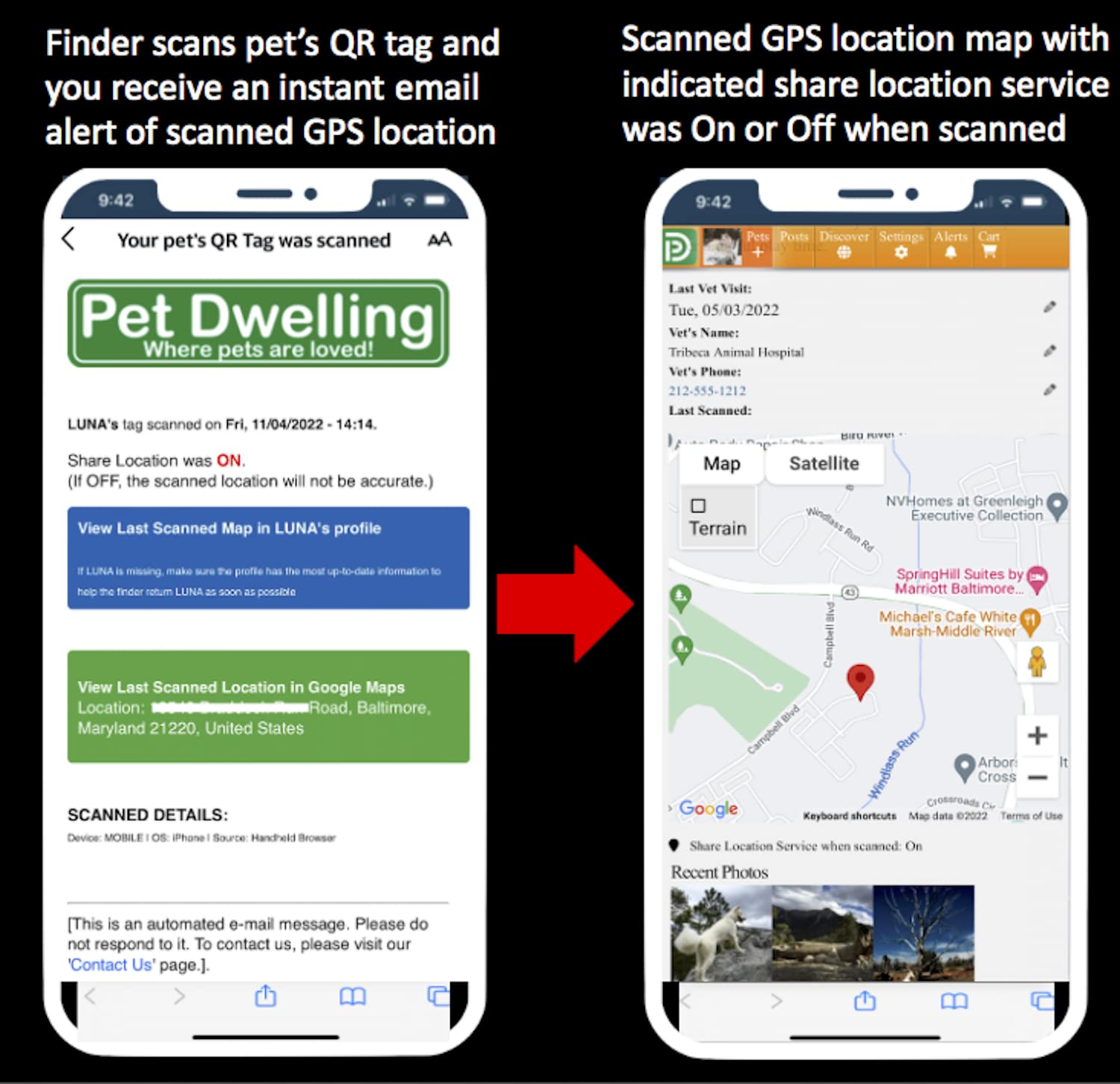 Pet Dwelling QR Code Pet ID Tags with Online Profile