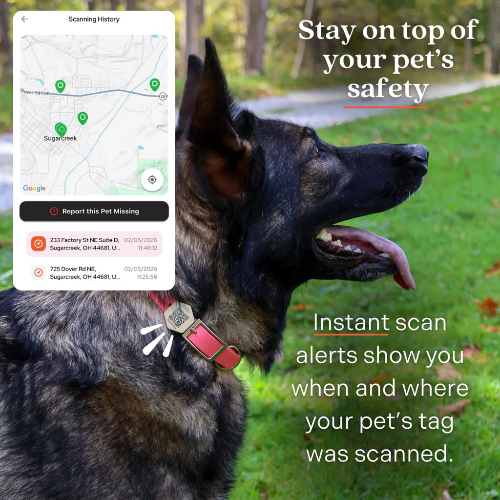 Gold QR Code Pet ID Tag with Free Digital Profile