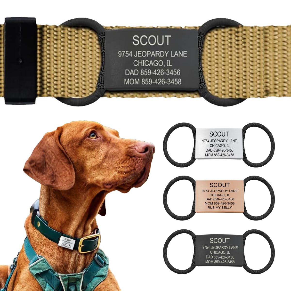 ROAD iD Jingle-Free Slide-On Stainless Steel Dog Tag