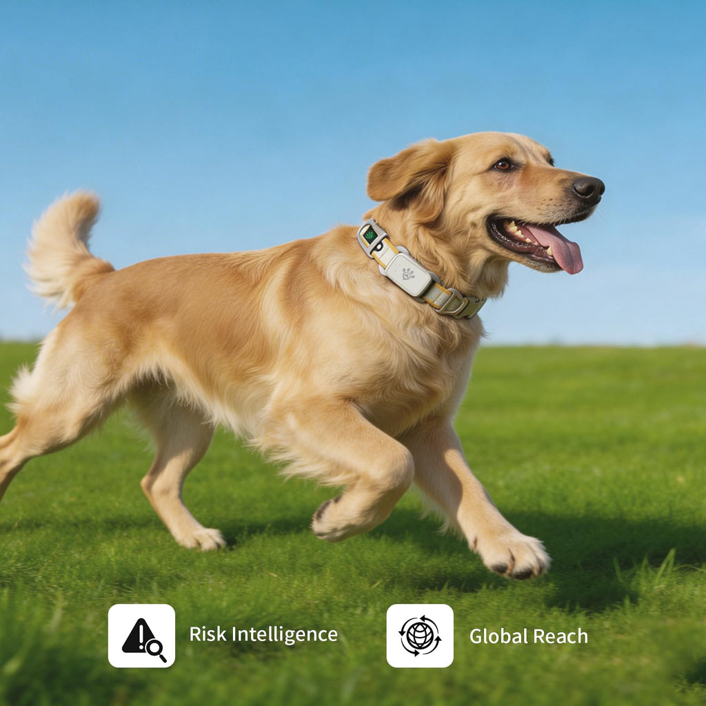 OxiLeash GPS Dog Tracker with Heart Rate and SpO2 Monitor