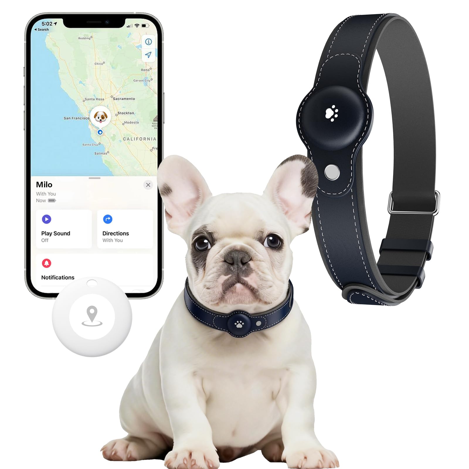 No-Fee 2-in-1 iOS Dog GPS Tracker Collar 365-Day Battery