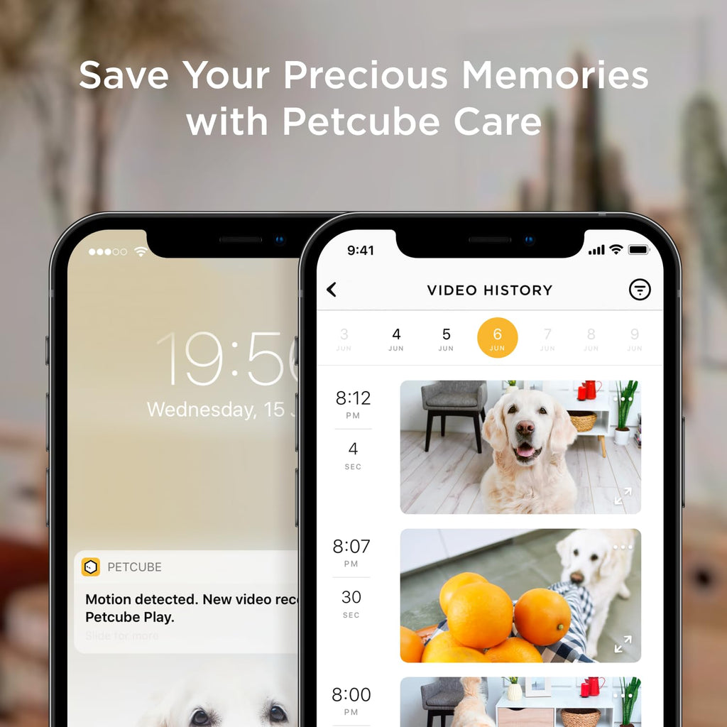 Petcube Bites 2 Lite WiFi Pet Camera with Treat Dispenser