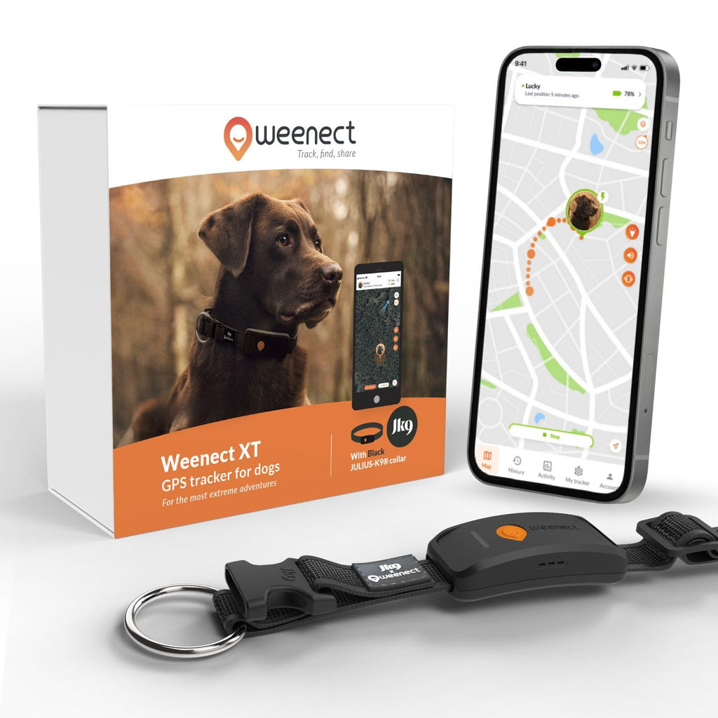 Weenect Dog XT Waterproof GPS Collar with XL Antenna