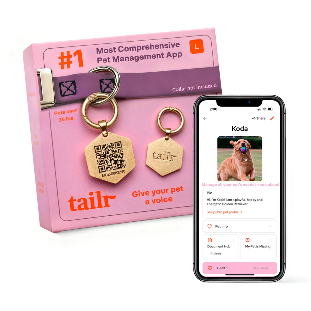 Gold QR Code Pet ID Tag with Free Digital Profile