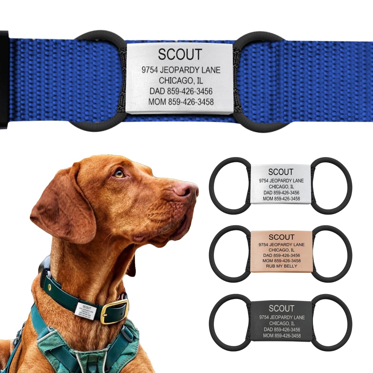 ROAD iD Jingle-Free Slide-On Stainless Steel Dog Tag