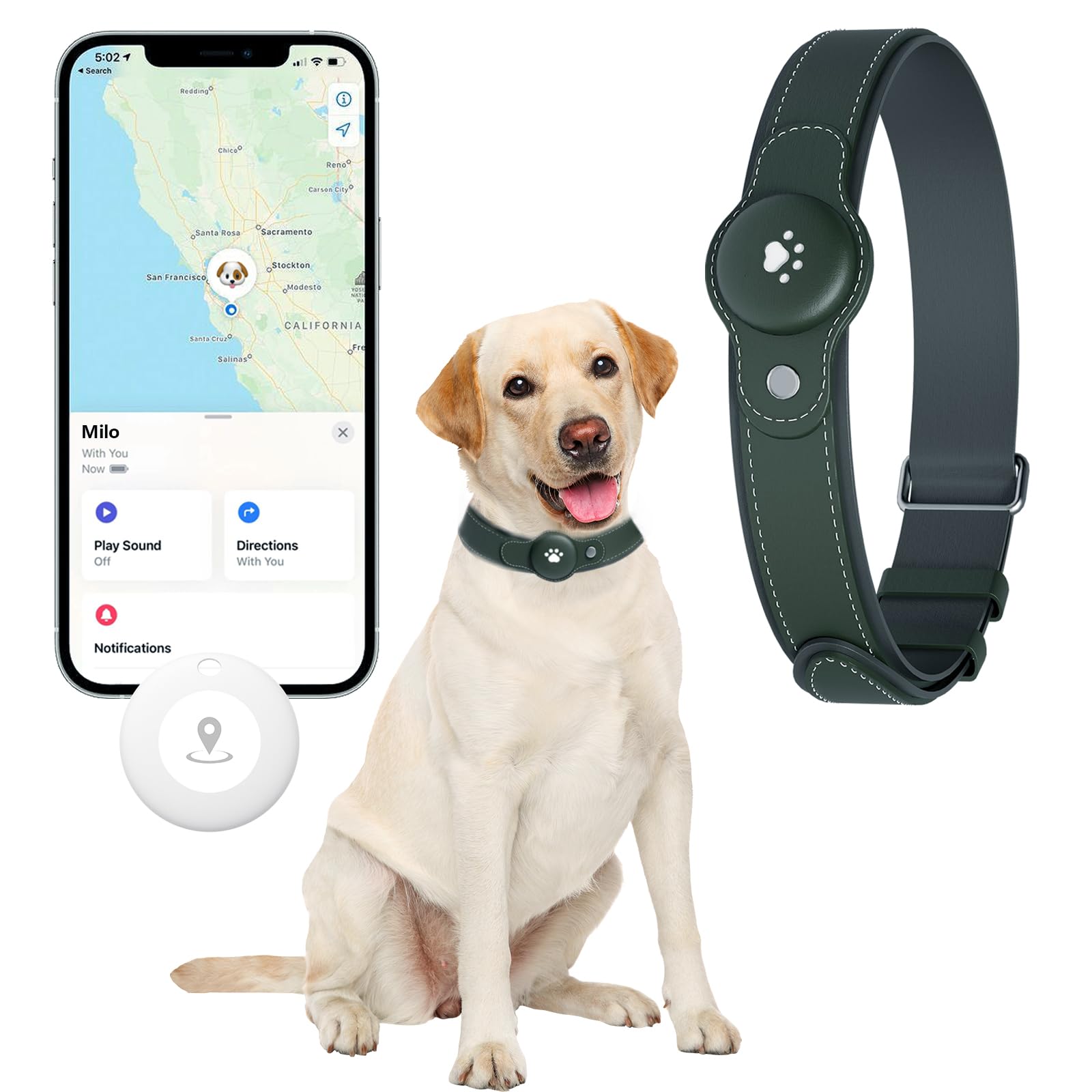 No-Fee 2-in-1 iOS Dog GPS Tracker Collar 365-Day Battery