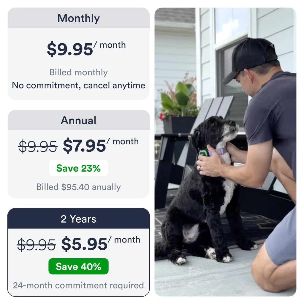 Waterproof Dog GPS Tracker with App Geofencing History