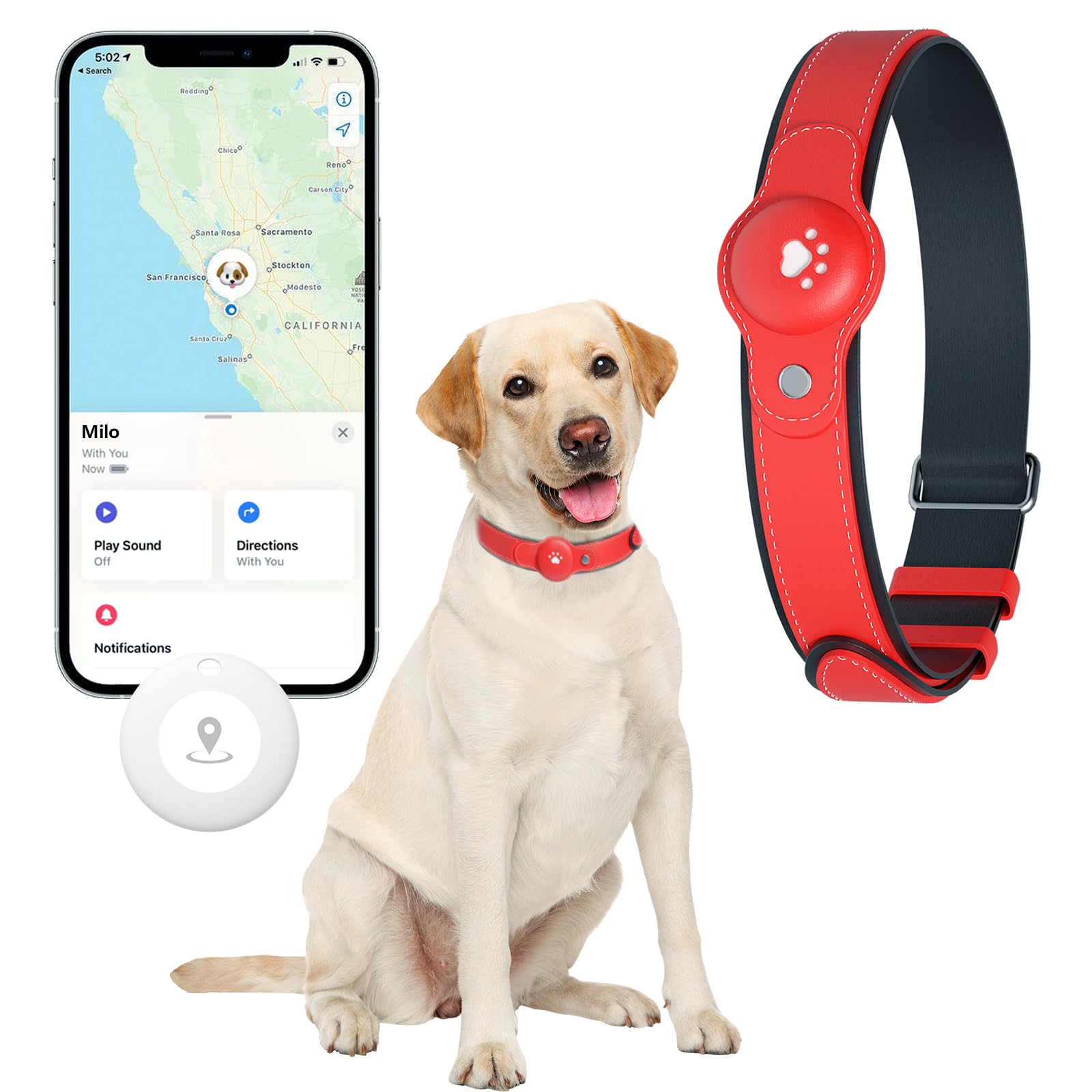 No-Fee 2-in-1 iOS Dog GPS Tracker Collar 365-Day Battery
