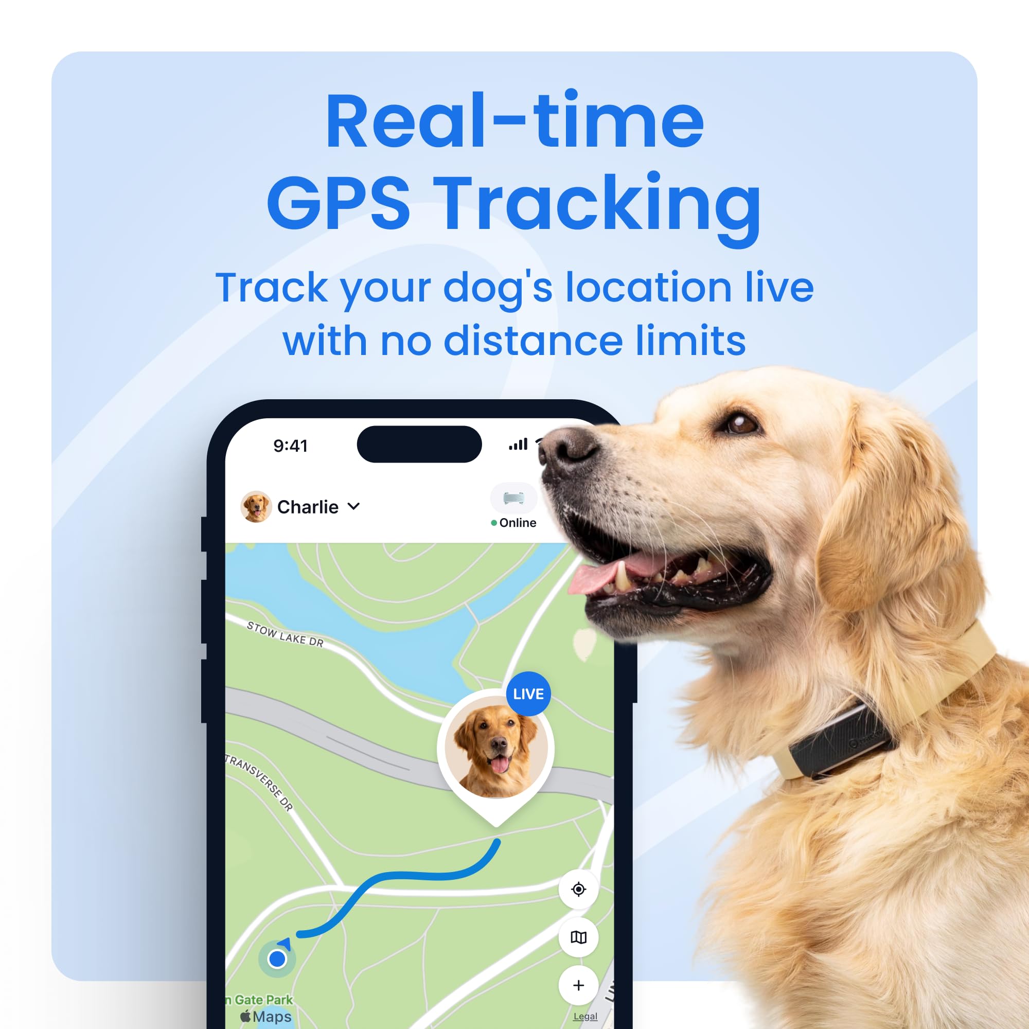 Tractive Smart Dog GPS Tracker with Vital Signs Monitoring