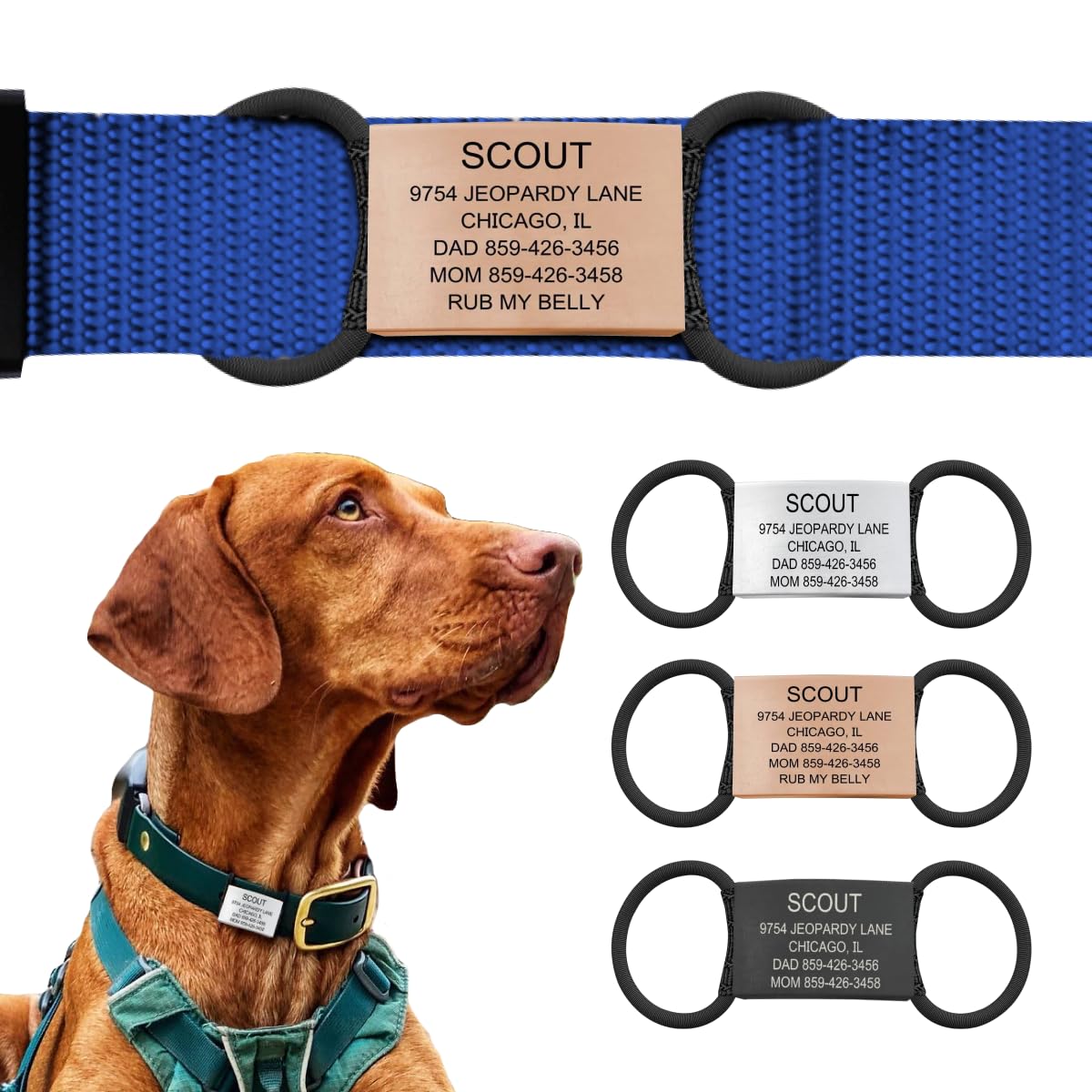 ROAD iD Jingle-Free Slide-On Stainless Steel Dog Tag