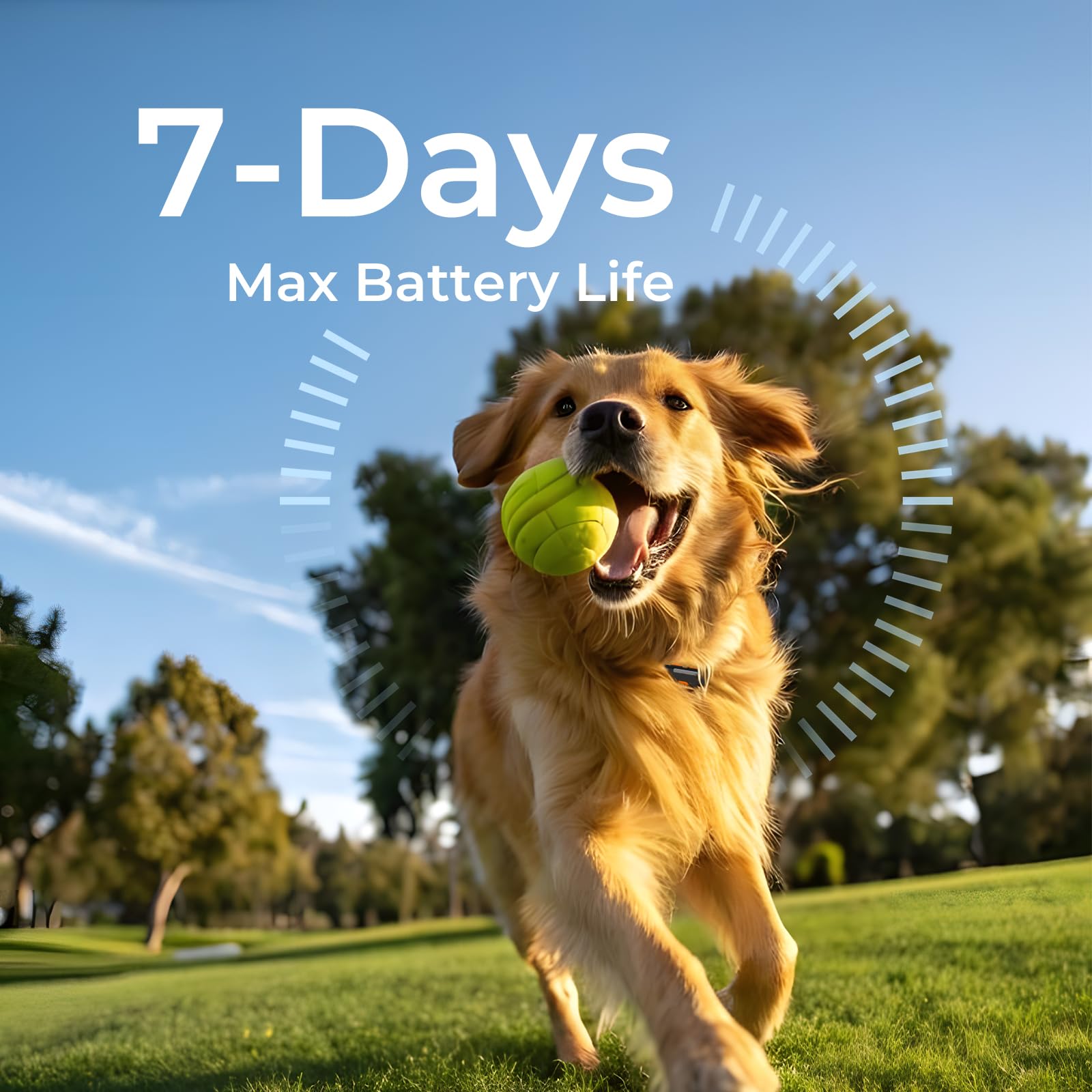 Off-Grid GPS Dog Tracker with Virtual Fence No Monthly Fee