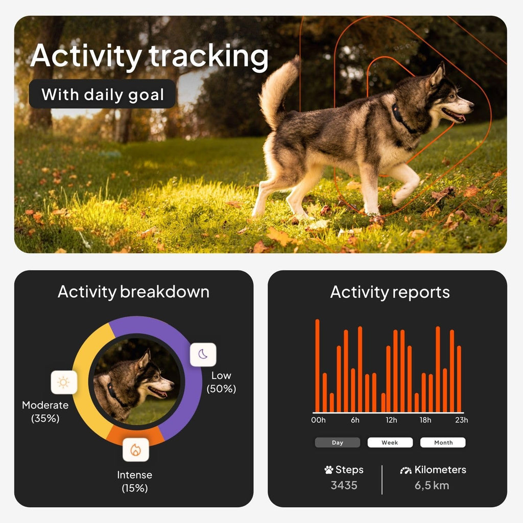 Weenect Dog XT Waterproof GPS Collar with XL Antenna