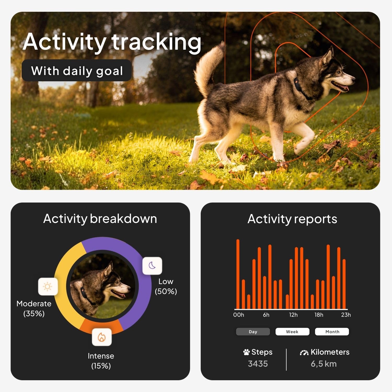 Weenect Dog XT Waterproof GPS Collar with XL Antenna