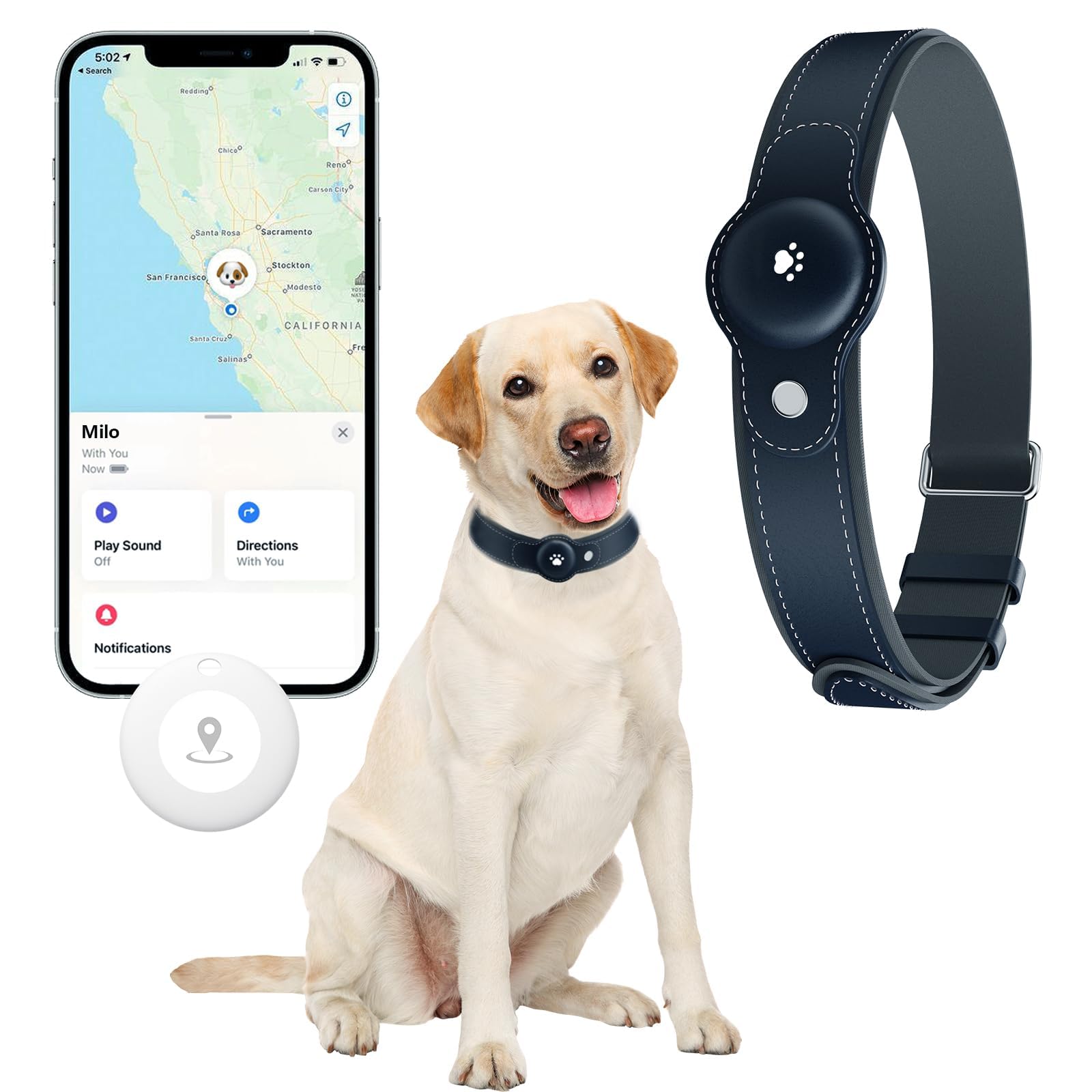 No-Fee 2-in-1 iOS Dog GPS Tracker Collar 365-Day Battery