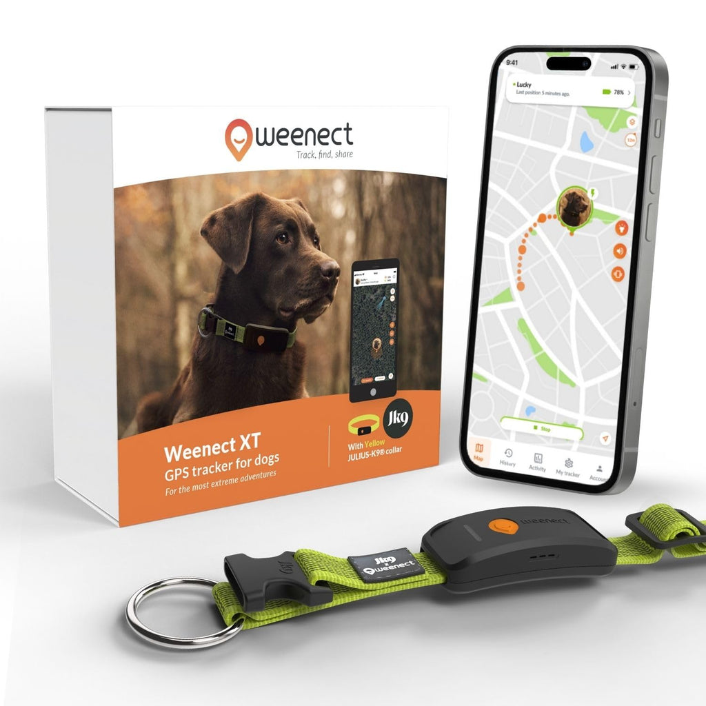 Weenect Dog XT Waterproof GPS Collar with XL Antenna