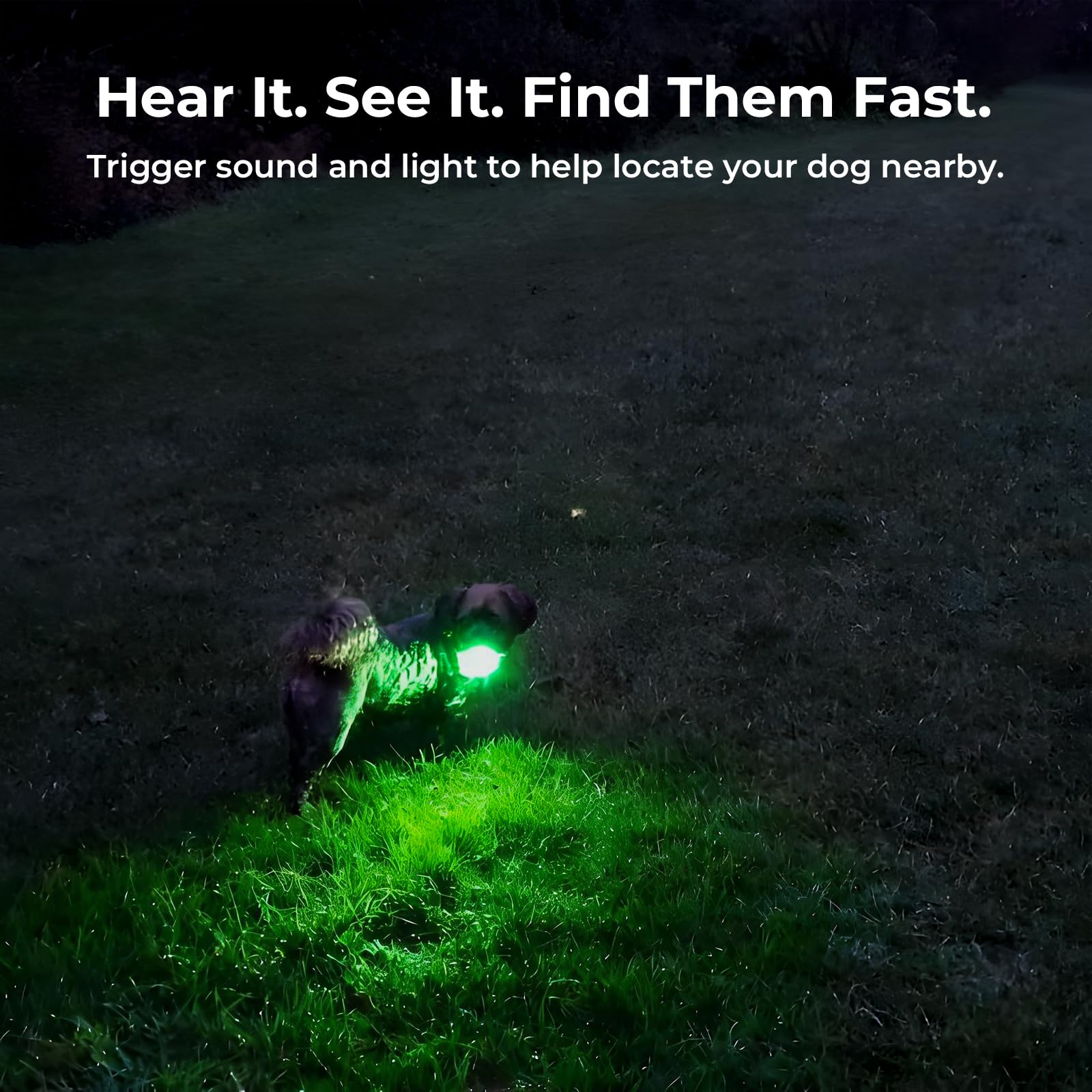 Off-Grid GPS Dog Tracker with Virtual Fence No Monthly Fee