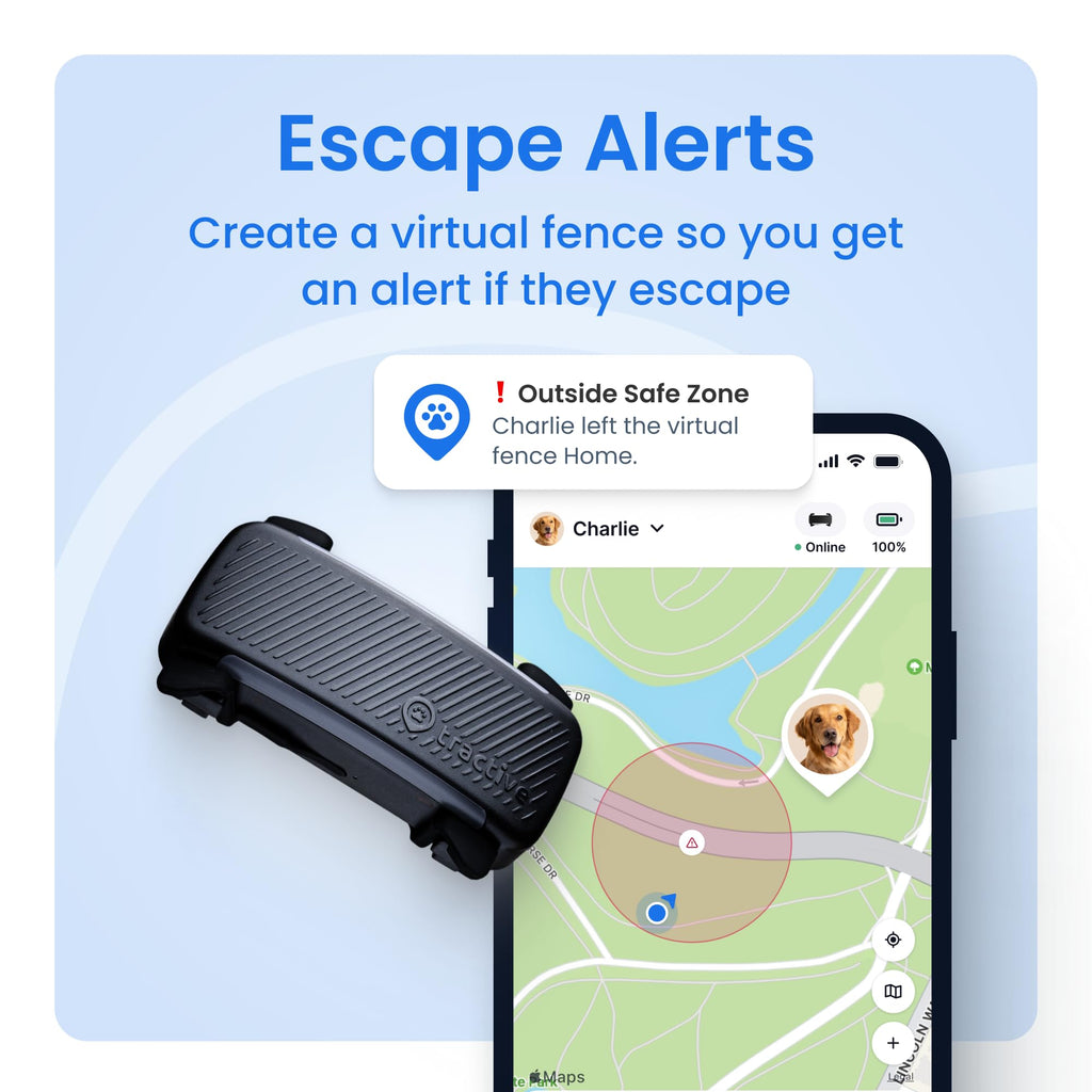 Tractive Smart Dog GPS Tracker with Vital Signs Monitoring