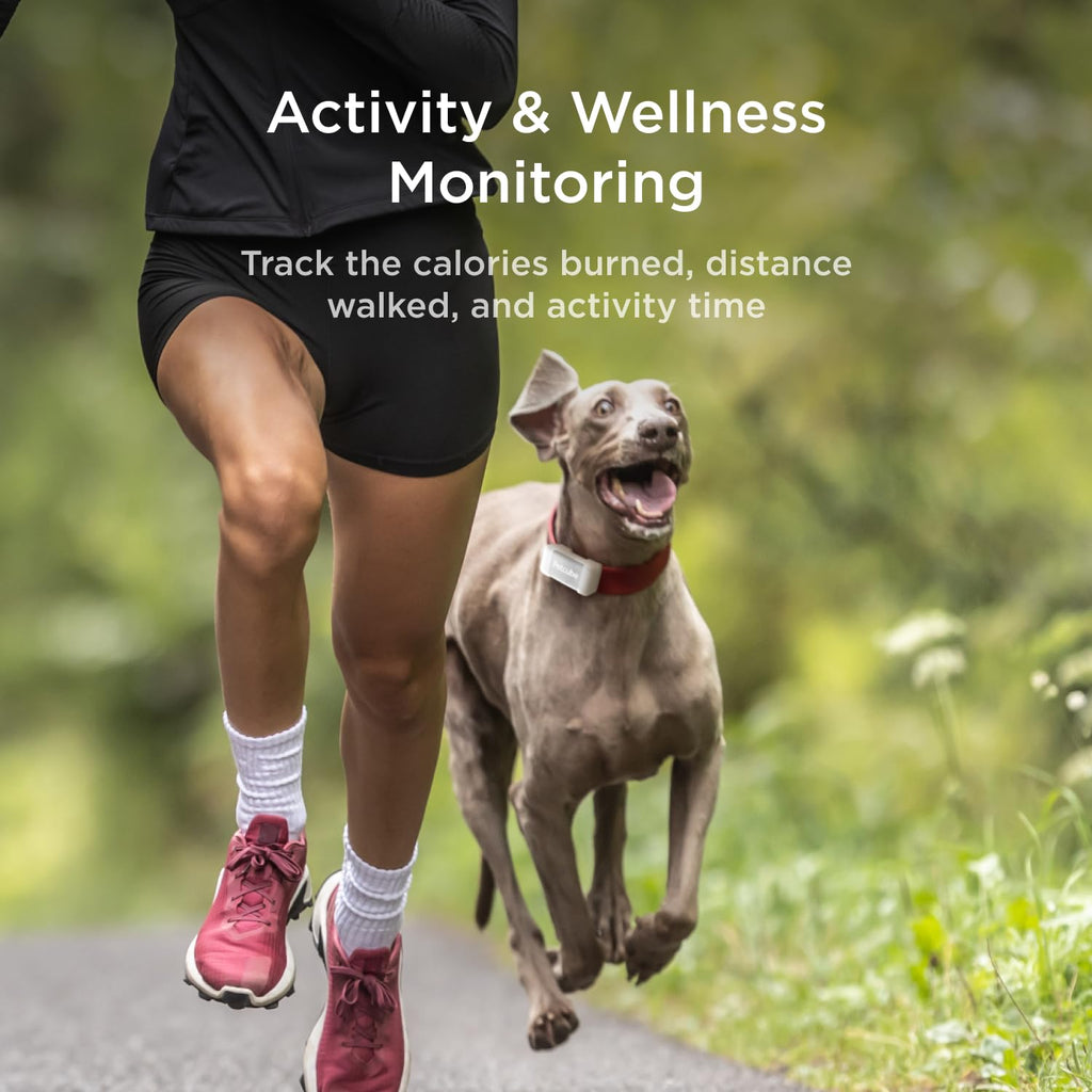 Petcube GPS Dog Tracker with Escape Alerts and Virtual Fence