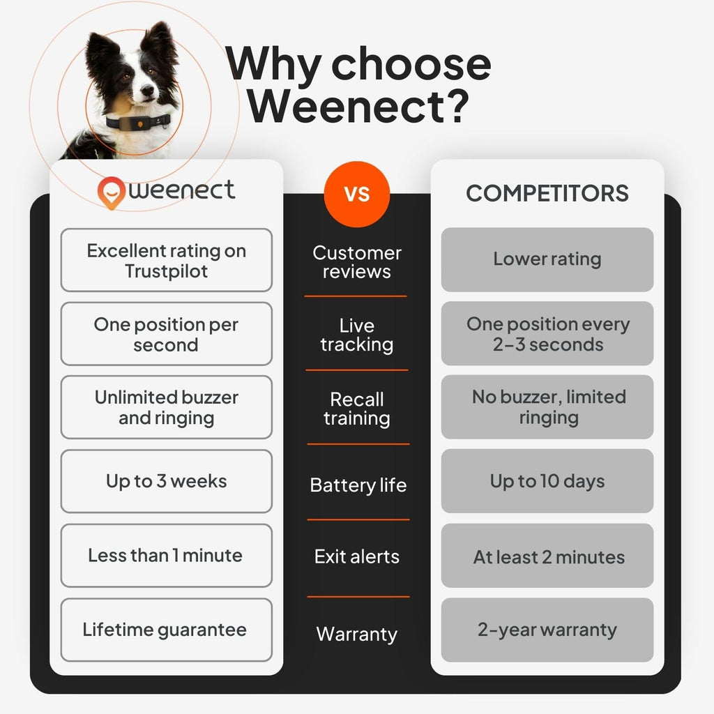 Weenect Dog XT Waterproof GPS Collar with XL Antenna
