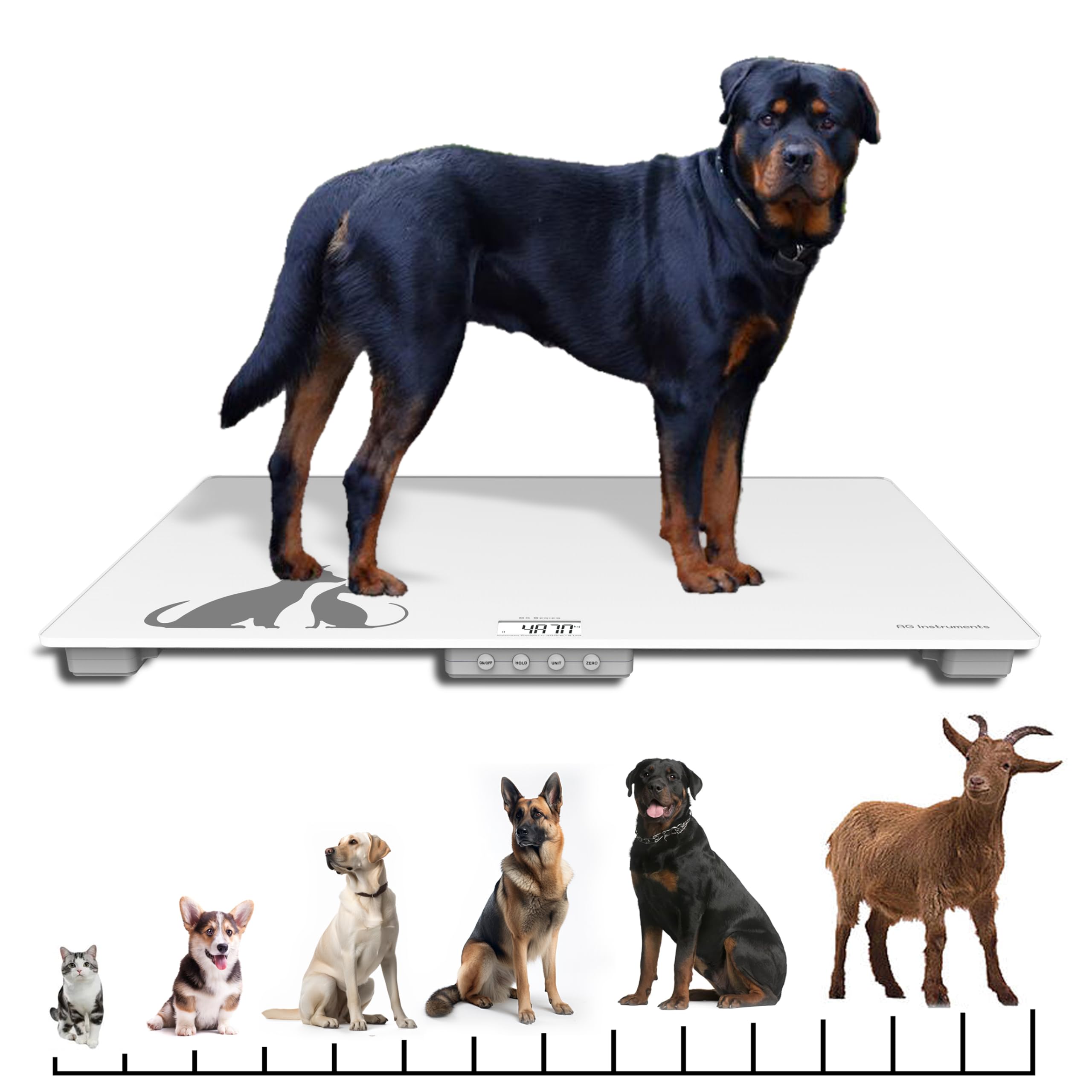 AG Instruments D-Series Glass Floor Scale with Animal Mode